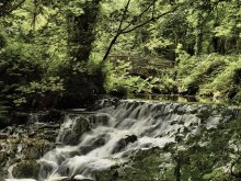 Und ... nur das Rauschen des Wassers ... / ***