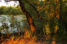 Abend / ***