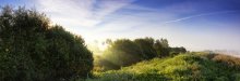 Die Sonne löst sich der Nebel / ***