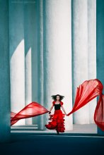 Flamenco / ***