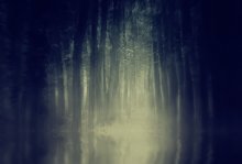 II//III / ********
