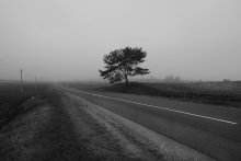 Morgen / ..............