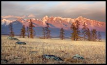 Kurai Steppe .... / ***