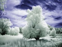 another world / IR foto