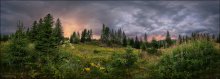 Wald Sunset / ***