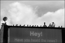 Publikum / ***