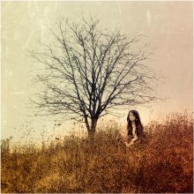 unter einem Baum träumen ... / *****