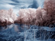 another world / IR foto
