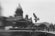 Petersburg Zeit / ilford HP5/lensbaby