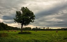  / Journey to Estonia