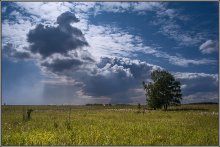 Vor dem Sturm / ***