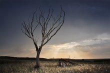 Einsam im Alter / Lonely old age