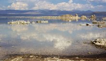 life in mono / Mono lake