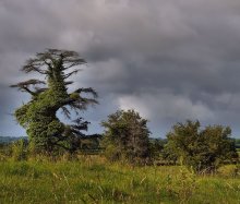 Country ... und die Nachbarn ... / ***