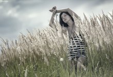 Sommer / ***