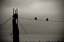 Zusammen / ***