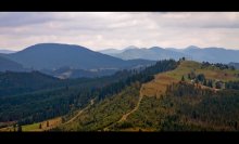 Auf dem Weg an die Spitze / ********