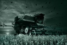 Ernte / The Reaping