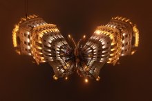 Schmetterling / ***