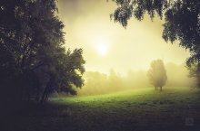 Light Fog / ***