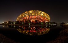 Bird's Nest / ***