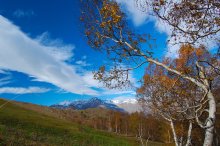 Goldener Herbst / ***