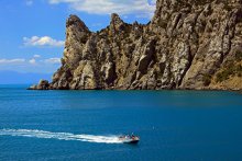 Cape Huhn / ***
