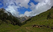 Elbrus / .............