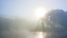 Nebliger Morgen / ***