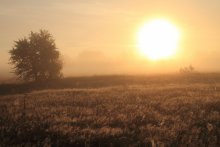 Sonnenaufgang-3 / __________________*