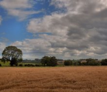 ... Brot, Feldern und Wolken ... / ***