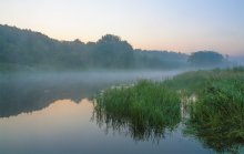 Nebel / ***