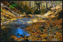 Herbstfarben. / ***