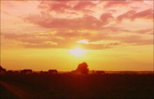 Das Ende eines Sommertages / ***
