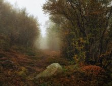 Straße zum Herbst / ***