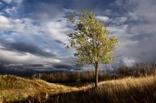 Dispergieren der Herbst Wolken / Banishing autumn clouds