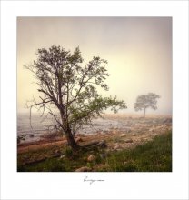 Memoiren / ***