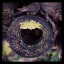tunel / ***