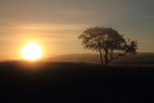 Beobachten sunrise / ___________________*