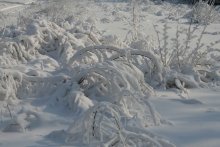 Märchen des Winters / ***
