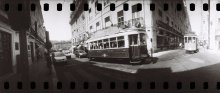 Trams / ***