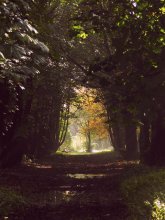 Allee des Glücks / ***