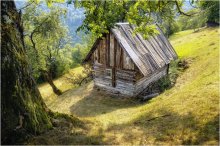 Der Hut ... / ***