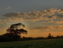 ABEND ...... / ***