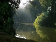 Herbstmorgen 2 / ********