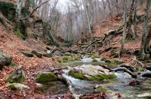 Fluss Ulu-Uzen. / ***