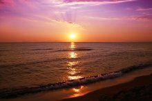 Sunset / ***