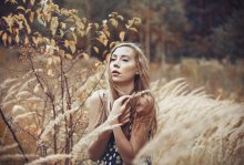 Herbstwind / ***