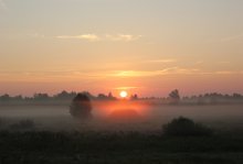 Misty Morgengrauen / ***
