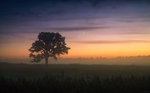 Morning Light / ***